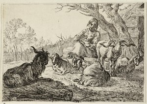Hirtin unter Ziegen und Schafen von Pieter van Laer