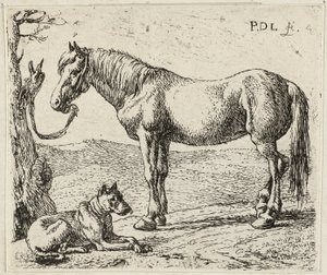 Das Pferd und der Hund von Pieter van Laer