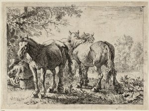 Drei Pferde auf einer Weide von Pieter van Laer