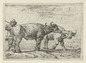 Zwei Büffel und ein Hirte von Pieter van Laer