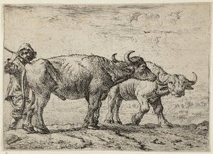 Zwei Büffel und ein Hirte von Pieter van Laer