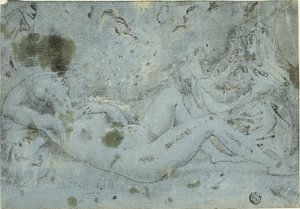 Danae und der Goldregen von Pieter van der Heyden