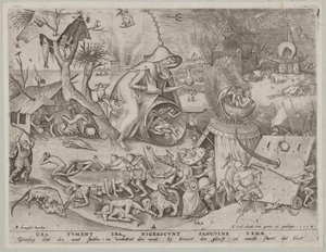 Wut von Pieter van der Heyden