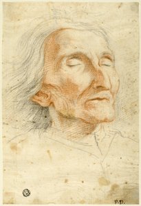 Gesicht eines alten Mannes mit geschlossenen Augen