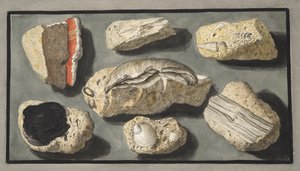 Proben von Tuffstein gefunden in und um Herculaneum, Tafel XXXXV, aus 