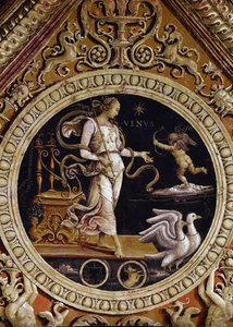 Allegorische Darstellung der Venus (Fresko)