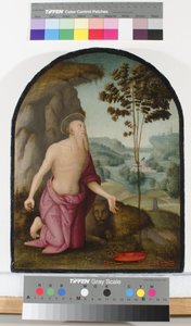 Heiliger Hieronymus in der Wildnis von Pietro Perugino