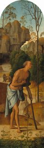Die Kreuzigung mit der Jungfrau, dem Heiligen Johannes, dem Heiligen Hieronymus und der Heiligen Maria Magdalena [linkes Panel] von Pietro Perugino