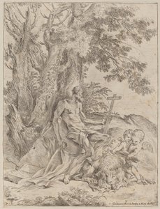 Heiliger Hieronymus von Pietro Testa