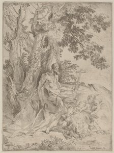 Heiliger Hieronymus von Pietro Testa