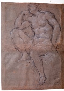 Junger Mann, Studie