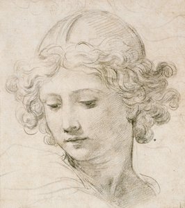 Kopf eines Engels, nach links unten blickend von Pietro da Cortona
