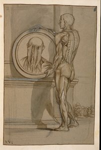 Ms Hunter 653 Tafel XVI, Anatomische Zeichnung, ca. 1610