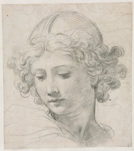 Studie für den Kopf des Erzengels Michael von Pietro da Cortona