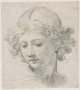Studie für den Kopf des St. Michael, 1633