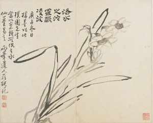 Landschaften, Blumen und Vögel: Narzisse, Qing-Dynastie