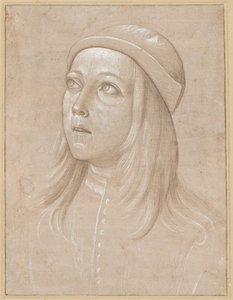 Kopf eines jungen Mannes, der nach oben schaut von Pinturicchio