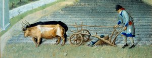März: Schnee. Landwirtschaftliche Arbeit, Bauer pflügt ein Feld. Detail. Miniatur in „Die sehr reichen Stunden des Herzogs von Berry“ von Pol De Limburg (15. Jahrhundert). Chantilly, Musée Condé
