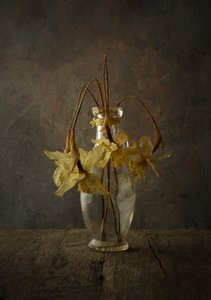 Stimmungsvolles florales Stillleben von Popa Kornel Andras