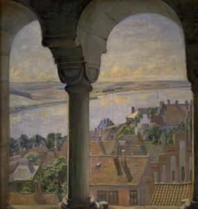 Ein Blick vom Turm des Viborg Doms