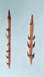 Zwei Harpunen, Oberes Paläolithikum, 35000-10000 v. Chr.