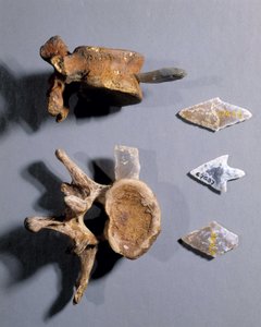 Feuerstein mit prähistorischem Knochen im Museum für Nationalantiquitäten