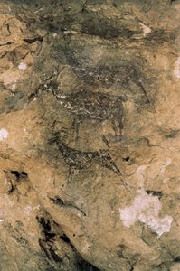 Mesolithische Felskunst: Hirsche und Ziegen (8000-7000 v. Chr.), Spanien, Bicorp, La Arana Höhle von Prehistoric Prehistoric
