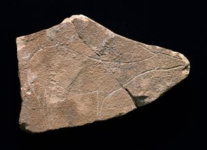 Petroglyphe, die ein Reh darstellt, Parpallo-Höhle, Spanien. Oberes Paläolithikum, Solutreen