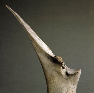 Vorgeschichte, Polada-Kultur: Knochenspitze aus dem Polada-Torfmoor, Lonato. Bronzezeit. Rom, Museo Nazionale Preistorico Etnografico Luigi Pigorini