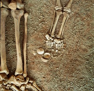 Prähistorie: Doppelsepultur von Erwachsenen und Kindern. Detailansicht des Grabbeigaben, an den Füßen des Kindes, drei Eichhörnchenschwänze, Muscheln und Steine aus der Höhle Arene Candide (Finale Ligure), Ligurien. Mesolithikum, 7000-6000 v. Chr. von Prehistoric Prehistoric