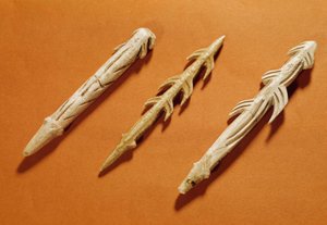 Vorgeschichte: Rentierharpunen, die zum Fischen verwendet wurden. Hergestellt während der Magdalénien-Periode