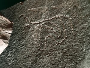 Vorgeschichte, Felskunst: ein gravierter Felsen mit der Darstellung eines Rindes. Tazina-Stil. Steinzeit 5000-2000 v. Chr. Taghit, Hochplateau des Hoggar (Ahaggar), Algerien
