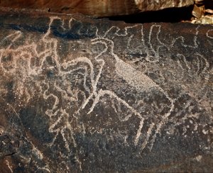 Prähistorie, Felskunst: Grabstein mit Darstellung von Rindern. Tazina-Stil