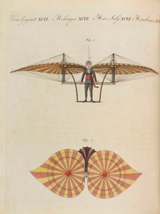 Kinderbilderbuch Kinderenzyklopädie von Friedrich Johann Justin Bertuch von Pupils of the Weimar Princely Free