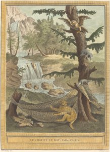 Die Katze und die Ratte von Quentin Pierre Chedel after Jean Baptiste Oudry