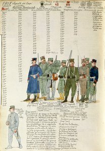 Uniformen der Territorialmiliz des Königreichs Italien, Farbtafel von Quinto Cenni