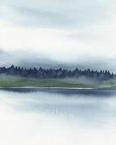 Nebliger Waldsee