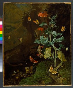 Stillleben mit Blumen, Schmetterlingen und einer Eidechse in einem Tal, vor 1750 von Rachel Ruysch