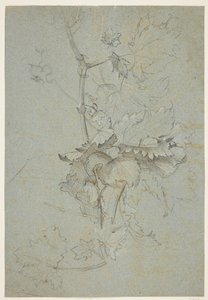 Pflanzenstudie von Rachel Ruysch