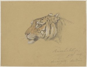 Kopf eines Tigers von Raden Sarief Bastaman Saleh