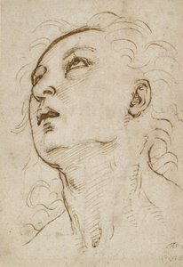 Kopf eines jungen Mannes, der nach oben schaut, ca. 1497-1504 von Raffaello Sanzio Raphael