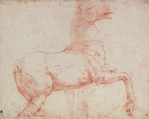 Studie für das Marmorpferd des Quirinals von Raffaello Sanzio Raphael
