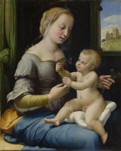 Die Madonna der Nelken (La Madonna dei Garofani), ca. 1506-1507 von Raffaello Sanzio Raphael