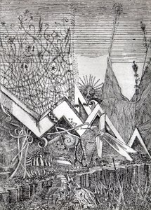 Kolibri von Raimondo Gambino