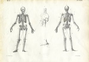 Menschliches Wesen, 1863-79
