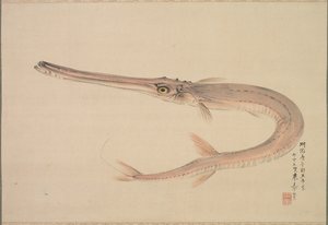 Nadelhecht von Raisho Nakajima