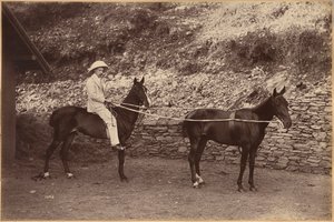Hauptmann H. S. Rawhinson (Vorderseite) von Raja Deen Dayal