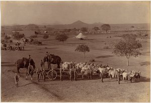 Schwere Feldbatterie, Jhansi von Raja Deen Dayal