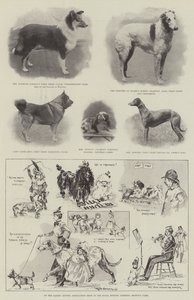 Auf der Ladies