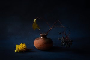 Ruhiges Herbst Stillleben von Ramiz Sahin